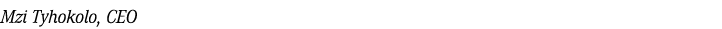 Mzi Tyhokolo, CEO