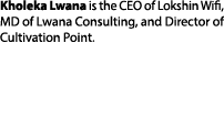 Kholeka Lwana is the CEO of Lokshin Wifi, MD of Lwana Consulting, and Director of Cultivation Point.