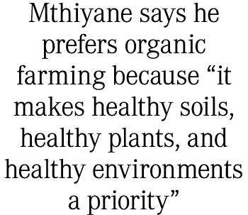 Mthiyane says he prefers organic farming because “it makes healthy soils, healthy plants, and healthy environments a ...