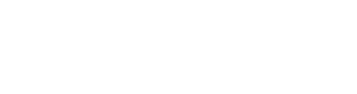 Decolonisation and decoloniality as concepts, like other concepts used in the Humanities and Social Sciences, have no...