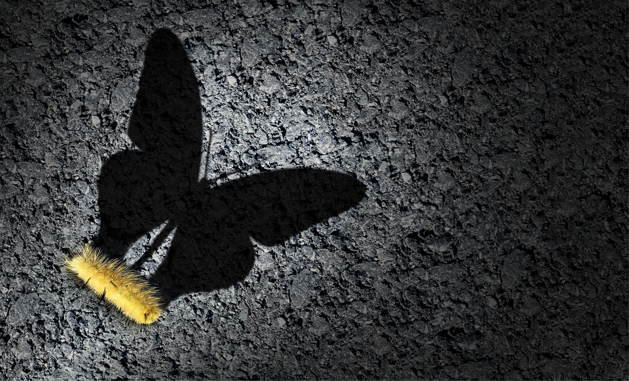 Aspiration concept and ambition idea as a caterpillar casting a shadow odf a butterfly as an achievement and hope for futur success symbol with 3D illustration elements.