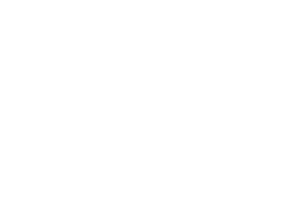 The media has an unavoidable incestuous relationship with government, politicians, and big business, among others