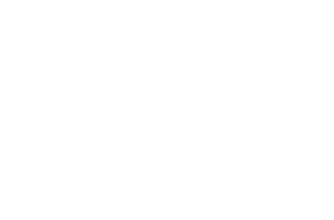 Naledi Modise ANC's decline in context