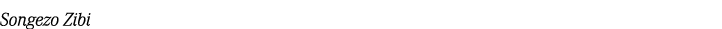 Songezo Zibi 