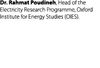 Dr. Rahmat Poudineh, Head of the Electricity Research Programme, Oxford Institute for Energy Studies (OIES).