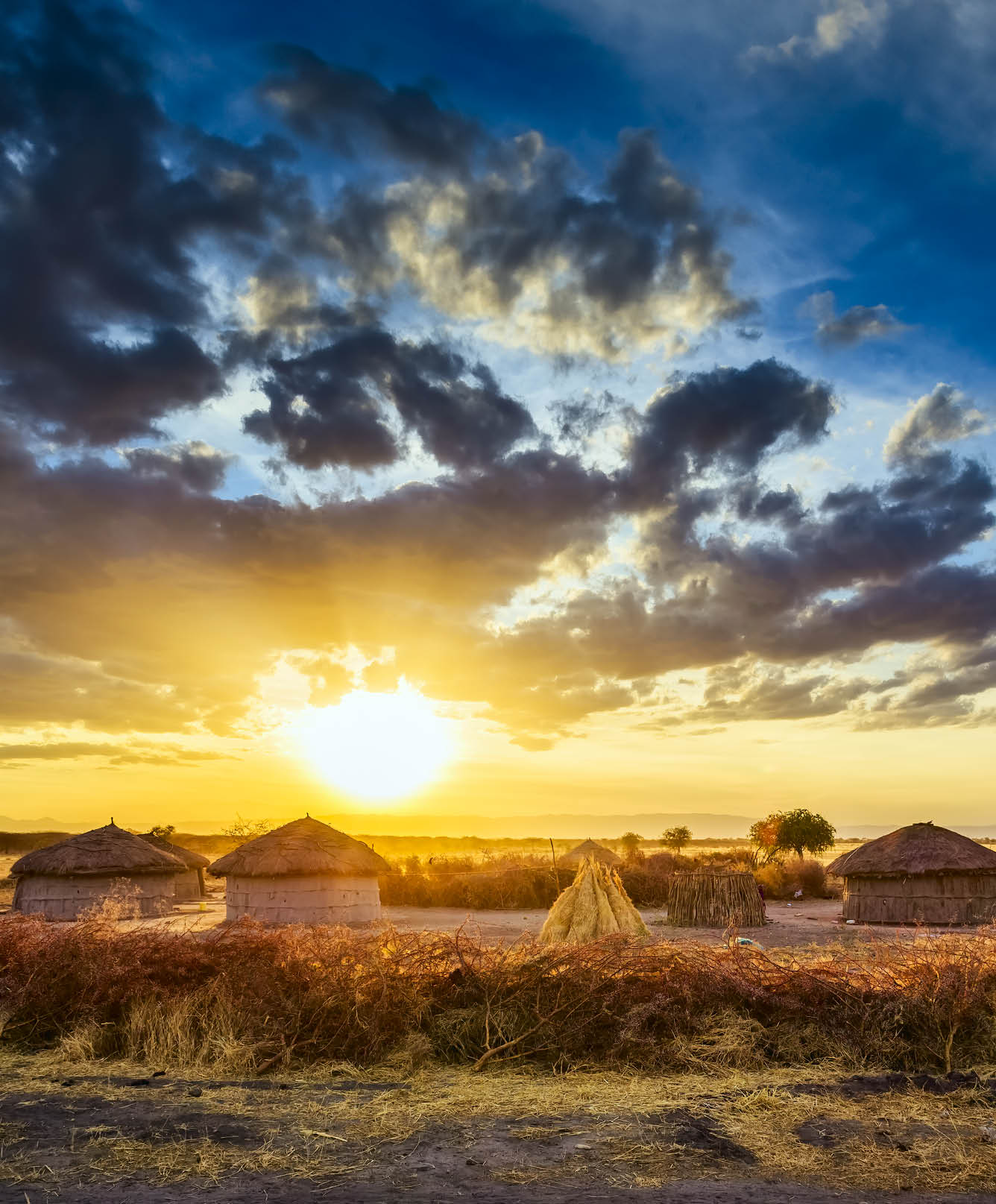 View of Maasai village with huts and enkang barrier nearby Tarangire National Park - Tanzania.