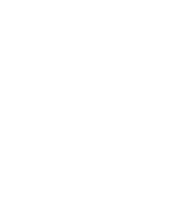 Building on the successful adoption of the Constitution in 1996, South Africa built a strong multiparty democracy wit...