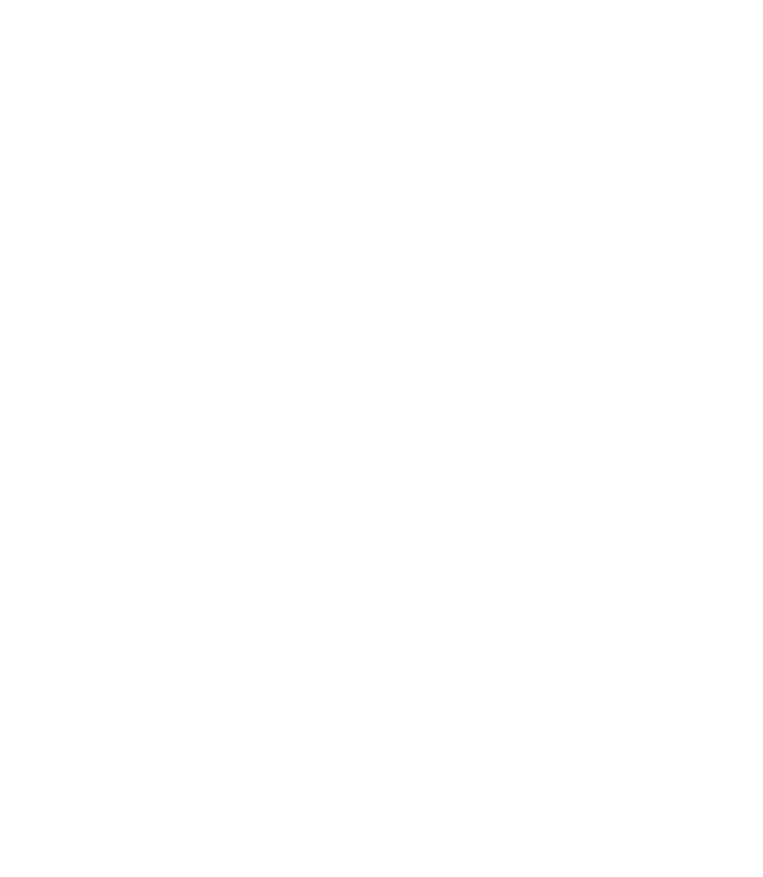 Reflecting on 30 years of freedom: the journey of South Africa and the role of the Economic Freedom Fighters Julius M...
