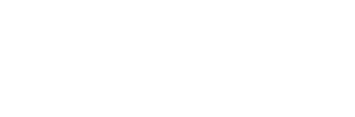 Many ANC members, especially the early ones; despite possessing academic qualifications, lacked practical experience ...