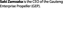 Saki Zamxaka is the CEO of the Gauteng Enterprise Propeller (GEP).
