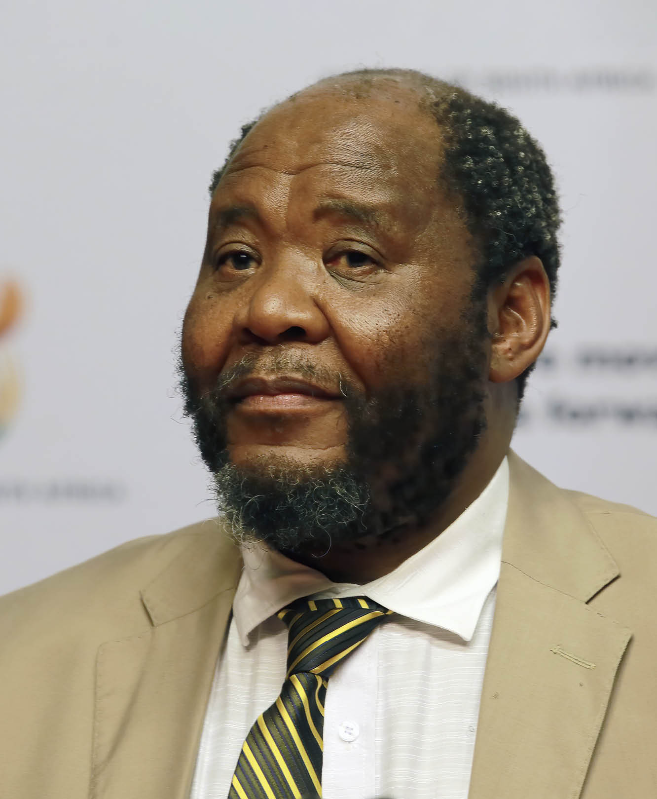 CAPE TOWN, SOUTH AFRICA – MAY 26: Statistician-General, Pali Lehohla released the GDP figures for the 1st quarter of the year and the quarterly labour force survey at Parliament on May 26, 2015 in Cape Town, South Africa. A significant drop in gross domestic product (GDP) in the agriculture sector as well as a drop in the manufacturing sector contributed to the 1.3% increase in year-on-year (y/y) GDP in the first quarter of 2015, Statistics SA said on Tuesday. (Photo by Gallo Images / Nardus Engelbrecht)