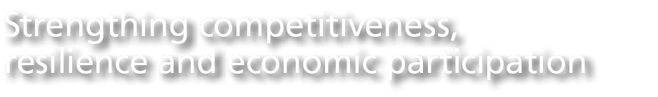 Strengthing competitiveness, resilience and economic participation