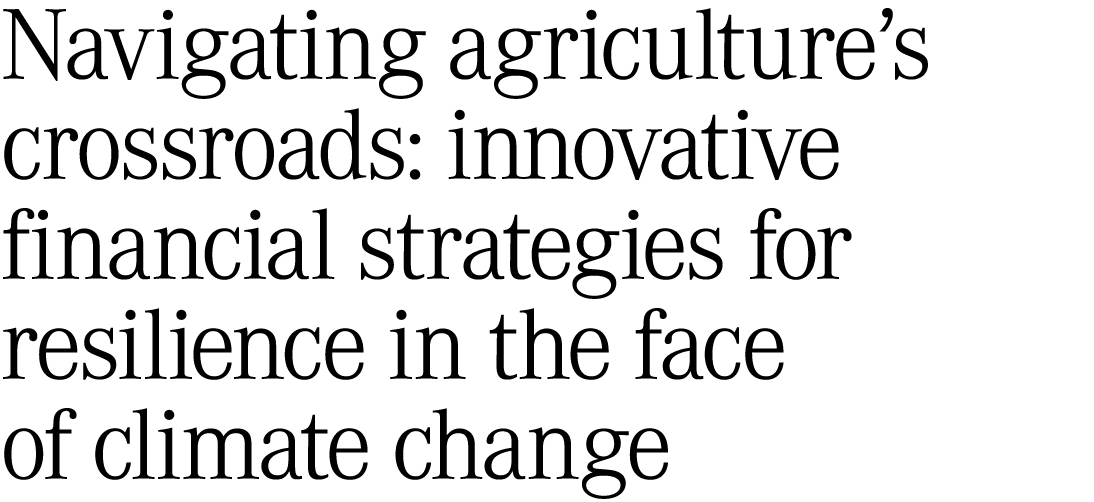 Navigating agriculture’s crossroads: innovative financial strategies for resilience in the face of climate change 