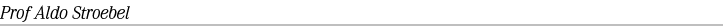 Prof Aldo Stroebel