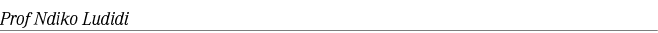 Prof Ndiko Ludidi